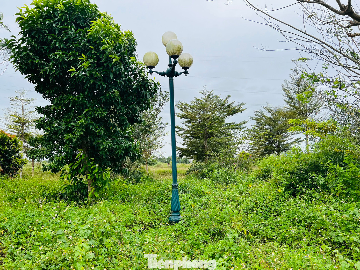 Đến tháng 3/2022, Chủ tịch UBND tỉnh Quảng Ngãi Đặng Văn Minh đã ban hành quyết định chấm dứt hiệu lực pháp lý chủ trương đầu tư dự án này (giai đoạn 1) và giao các cơ quan chức năng chịu trách nhiệm thực hiện các thủ tục liên quan đến việc nhà đầu tư tự chấm dứt hoạt động dự án theo quy định. Ảnh: Nguyễn Ngọc