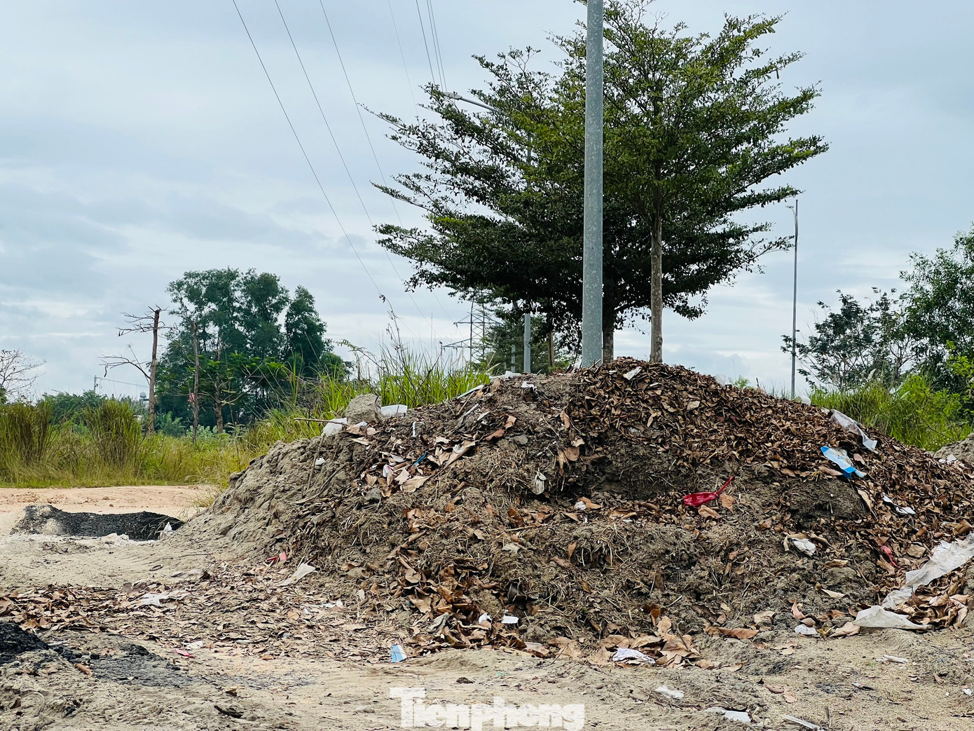 Bên trong khuôn viên dự án cỏ dại mọc um tùm, rác thải, phế thải xây dựng đổ khắp nơi, nhiều hạng mục sau thời gian dài không được duy tu bảo dưỡng nay đã xuống cấp nghiêm trọng. Ảnh: Nguyễn Ngọc
