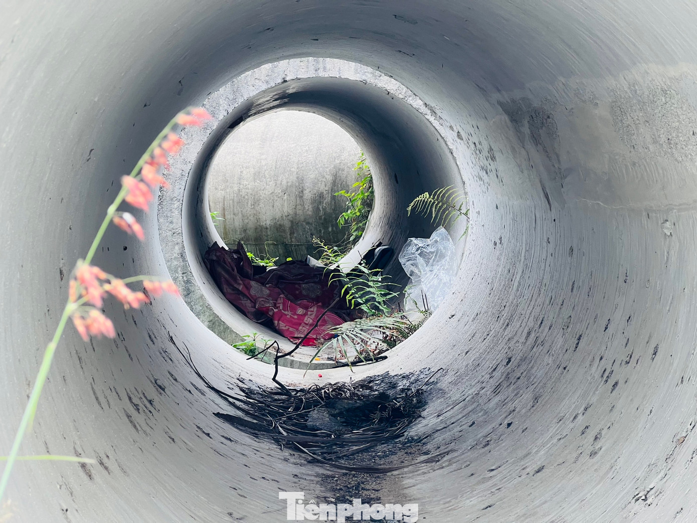 Hiện dự án khu dân cư trục đường Mỹ Trà - Mỹ Khê đã được Chủ tịch UBND tỉnh Quảng Ngãi bàn giao cho Trung tâm phát triển quỹ đất, thuộc Sở TN&MT Quảng Ngãi, để đơn vị này xây dựng phương án khai thác. Tuy nhiên đến nay vẫn chưa có phương án khai thác nào hiệu quả ở vị trí đất vàng này. Ảnh: Nguyễn Ngọc