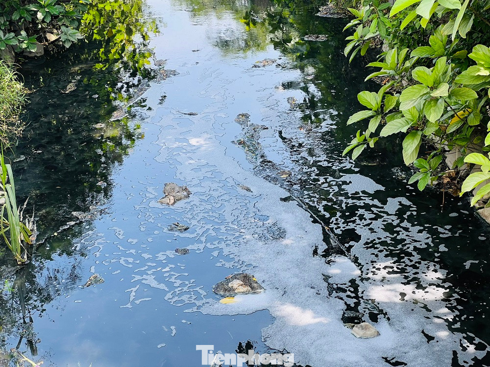 Nước thải đen ngòm từ hồ điều hòa Bàu Cả (phường Lê Hồng Phong, TP Quảng Ngãi) xả trực tiếp ra sông Trà Khúc. (Ảnh: Nguyễn Ngọc) Nước thải đen ngòm từ hồ điều hòa Bàu Cả (phường Lê Hồng Phong, TP Quảng Ngãi) xả trực tiếp ra sông Trà Khúc. (Ảnh: Nguyễn Ngọc)