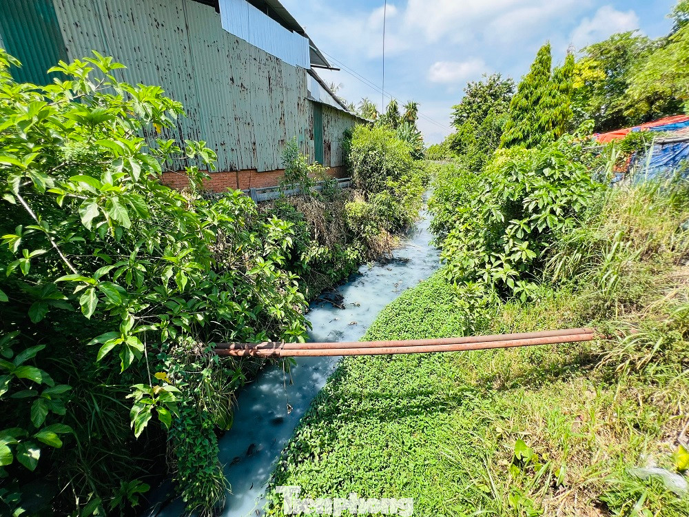 Hồ điều hòa Bàu Cả (phường Lê Hồng Phong, TP Quảng Ngãi). (Ảnh: Nguyễn Ngọc) Hồ điều hòa Bàu Cả (phường Lê Hồng Phong, TP Quảng Ngãi). (Ảnh: Nguyễn Ngọc)