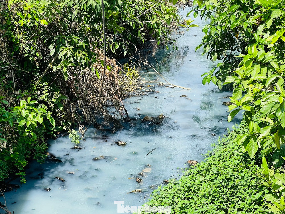 Nước thải đen ngòm từ hồ điều hòa Bàu Cả (phường Lê Hồng Phong, TP Quảng Ngãi) xả trực tiếp ra sông Trà Khúc. (Ảnh: Nguyễn Ngọc) Nước thải đen ngòm từ hồ điều hòa Bàu Cả (phường Lê Hồng Phong, TP Quảng Ngãi) xả trực tiếp ra sông Trà Khúc. (Ảnh: Nguyễn Ngọc)