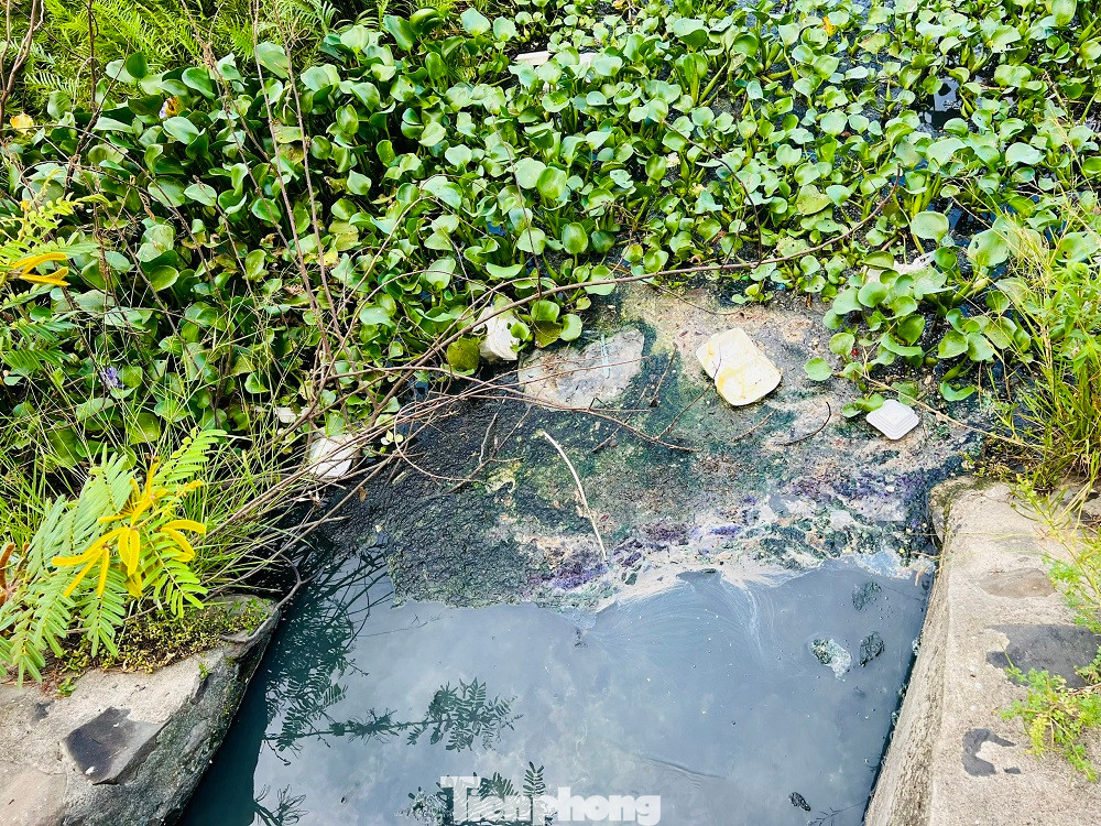Nước thải từ hồ điều hòa Nghĩa Chánh bốc mùi hôi thối, ảnh hưởng nghiêm trọng đến đời sống của người dân. (Ảnh: Nguyễn Ngọc) Nước thải từ hồ điều hòa Nghĩa Chánh bốc mùi hôi thối, ảnh hưởng nghiêm trọng đến đời sống của người dân. (Ảnh: Nguyễn Ngọc)
