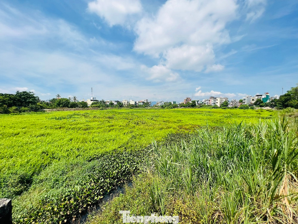 Hồ điều hòa Bàu Cả (phường Lê Hồng Phong, TP Quảng Ngãi). (Ảnh: Nguyễn Ngọc) Hồ điều hòa Bàu Cả (phường Lê Hồng Phong, TP Quảng Ngãi). (Ảnh: Nguyễn Ngọc)