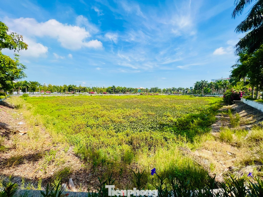 Hồ điều hòa Nghĩa Chánh bị bồi lắng, cỏ dại xâm lấn suốt nhiều năm qua (Ảnh: Nguyễn Ngọc) Hồ điều hòa Nghĩa Chánh bị bồi lắng, cỏ dại xâm lấn suốt nhiều năm qua (Ảnh: Nguyễn Ngọc)