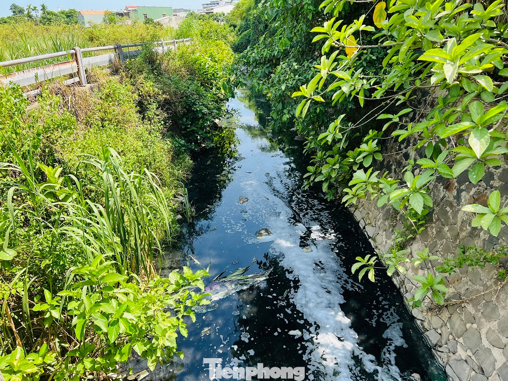 Nước thải đen ngòm từ hồ điều hòa Bàu Cả (phường Lê Hồng Phong, TP Quảng Ngãi) xả trực tiếp ra sông Trà Khúc. (Ảnh: Nguyễn Ngọc) Nước thải đen ngòm từ hồ điều hòa Bàu Cả (phường Lê Hồng Phong, TP Quảng Ngãi) xả trực tiếp ra sông Trà Khúc. (Ảnh: Nguyễn Ngọc)