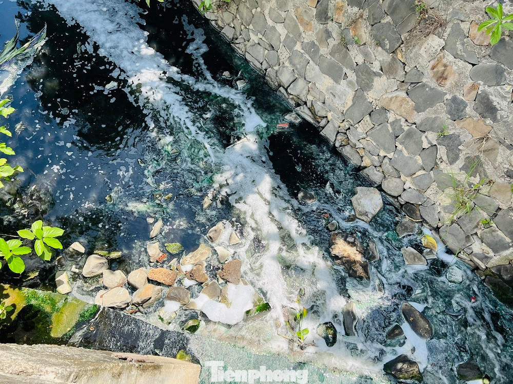 Nước thải đen ngòm từ hồ điều hòa Bàu Cả (phường Lê Hồng Phong, TP Quảng Ngãi) xả trực tiếp ra sông Trà Khúc. (Ảnh: Nguyễn Ngọc) Nước thải đen ngòm từ hồ điều hòa Bàu Cả (phường Lê Hồng Phong, TP Quảng Ngãi) xả trực tiếp ra sông Trà Khúc. (Ảnh: Nguyễn Ngọc)