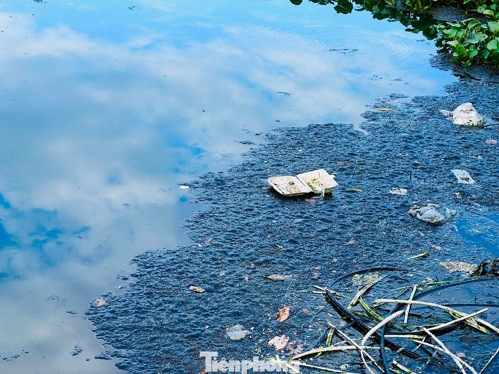 Nước thải từ hồ điều hòa Nghĩa Chánh bốc mùi hôi thối, ảnh hưởng nghiêm trọng đến đời sống của người dân. (Ảnh: Nguyễn Ngọc) Nước thải từ hồ điều hòa Nghĩa Chánh bốc mùi hôi thối, ảnh hưởng nghiêm trọng đến đời sống của người dân. (Ảnh: Nguyễn Ngọc)