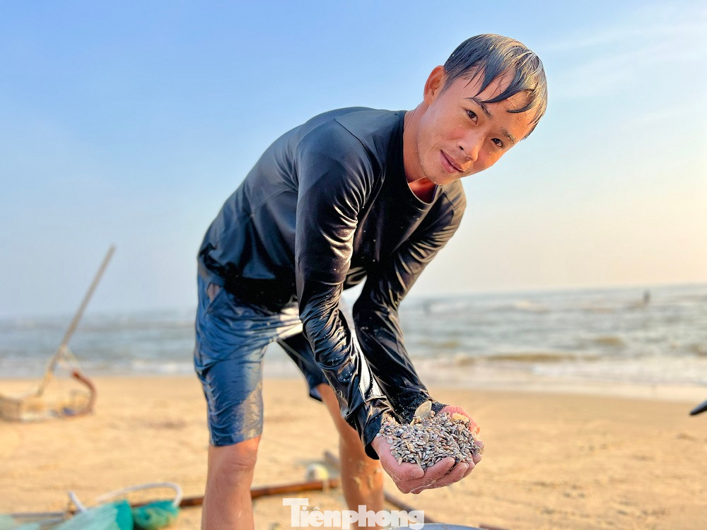 Theo các thương lái, vào thời điểm đầu mùa, khi ốc còn nhỏ thì họ mua về cung cấp làm thức ăn cho các hộ nuôi thủy sản ở Đà Nẵng, Phú Yên, Khánh Hòa. Qua Tết, ốc to hơn được người dân mua về chế biến món ăn nên giá bán cao hơn.