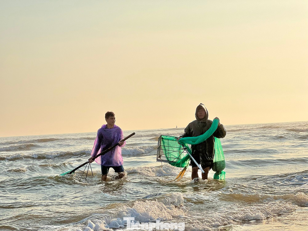 Ông Bửu cho biết, mùa ốc ruốc bắt đầu từ tháng 11 âm lịch và kéo dài cho đến tháng 3 năm sau. Mỗi ngày ông ngâm mình dưới nước từ 6-8 tiếng, hôm nào trúng thì được 1-1,5 tạ ốc, còn thường thì 60-80kg ốc. “Với giá bán 300.000 - 400.000 đồng/thùng (thùng khoảng 25kg), trung bình mỗi ngày ông có thể kiếm được từ 1-1,5 triệu đồng”, ông Bửu nói thêm.