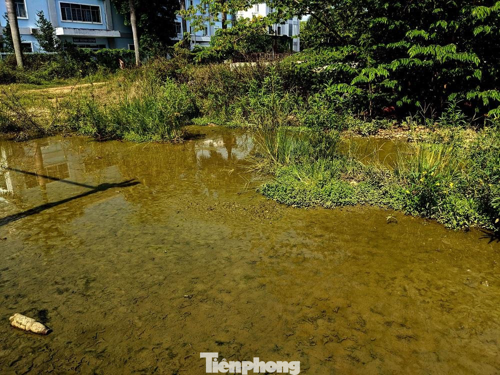 Tuy nhiên đến nay qua 3 lần điều chỉnh chủ trương đầu tư, với thời gian hoàn thành và đưa vào hoạt động được kéo dài đến tháng 6/2021. Thế nhưng do nhiều nguyên nhân khác nhau mà đến nay dự án vẫn nằm trong tình trạng “đắp chiếu” và chưa biết đến bao giờ mới hoàn thành và đưa vào sử dụng.