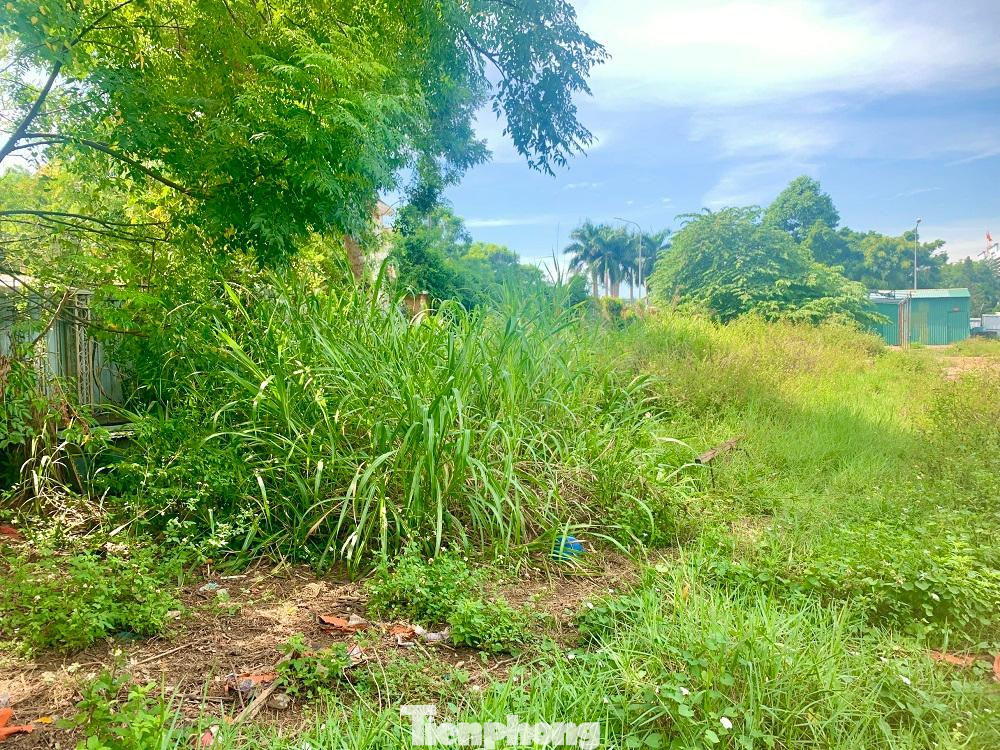 Theo ghi nhận của PV vào sáng 6/8, bờ tường tôn dựng tạm để che chắn mặt ngoài phía đông dự án, bắt đầu xập xệ và xuống cấp; sau nhiều năm thi công dở dang và để đó, số sắt thép chừa ra ở các cọc bê tông đã hoen gỉ, xung quanh dự án cỏ dại mọc um tùm…