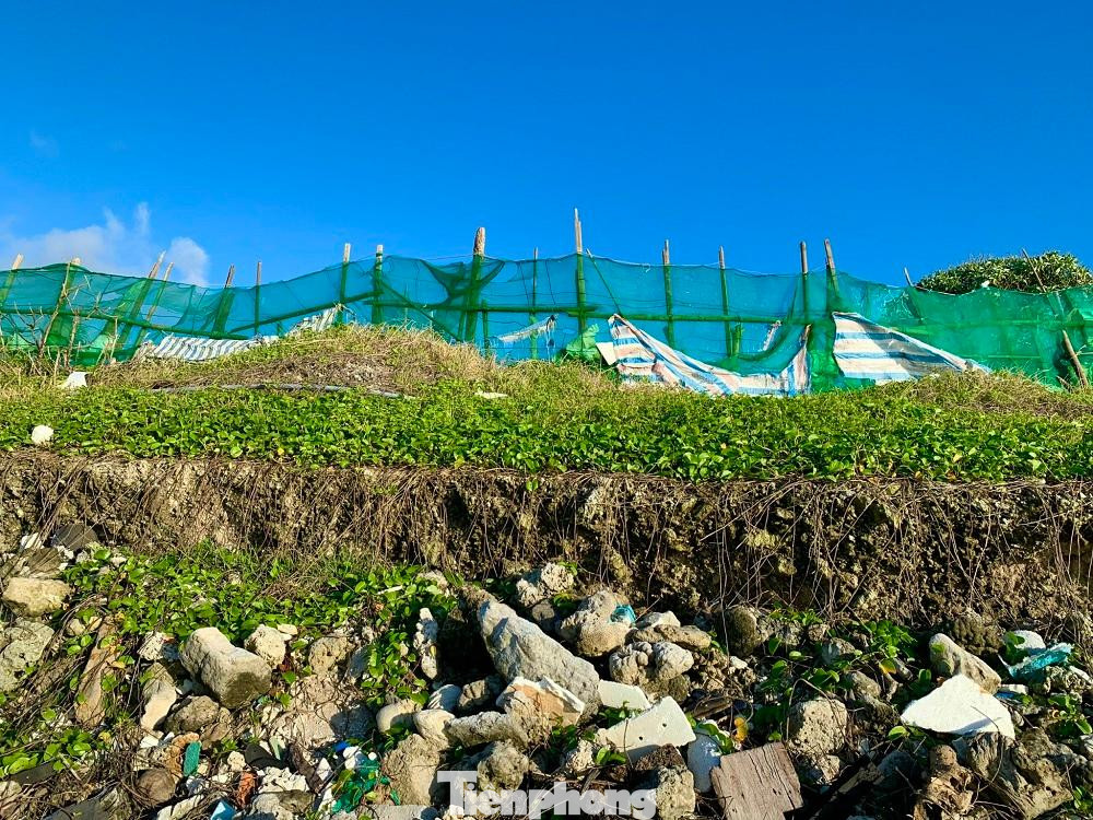 Sóng biển xâm thực tại đây không chỉ làm mất đất sản xuất của người dân trên huyện đảo Lý Sơn, mà còn đe dọa đến khu vực Hang Câu- một thắng cảnh du lịch nổi tiếng của hòn đảo tiền tiêu này. Người dân địa phương đang mong mỏi một tuyến kè để giữ đất.