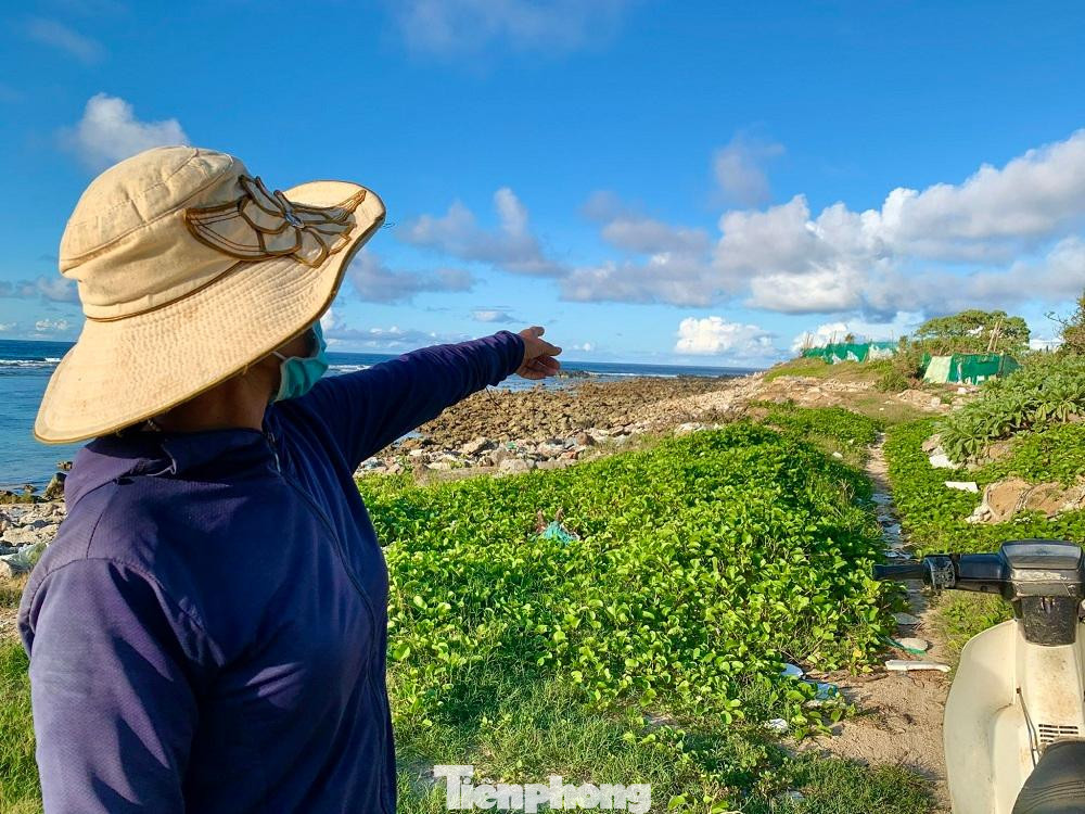 Bà Đinh Thị Mến (trú thôn An Hải, huyện Lý Sơn) cho biết, cơn bão số 9 và số 13 năm 2020 làm bờ biển ở đây bị sạt lở nghiêm trọng. Đặc biệt, vào mùa đông, triều cường, sóng lớn khiến tình trạng này diễn ra ngày một nghiêm trọng hơn.