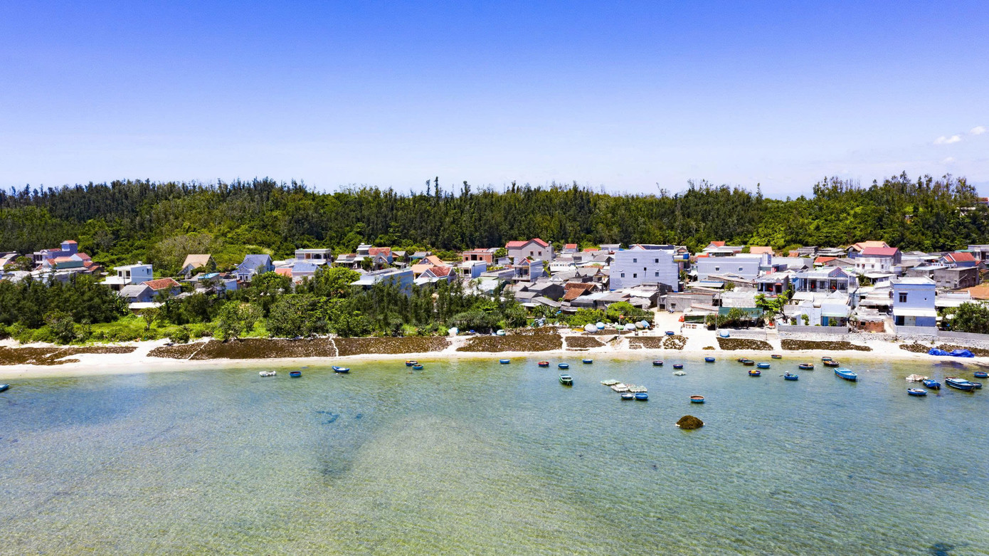 Ngư dân ven biển Quảng Ngãi khai thác rong mơ. Ảnh: Hải Phong Ngư dân ven biển Quảng Ngãi khai thác rong mơ. Ảnh: Hải Phong