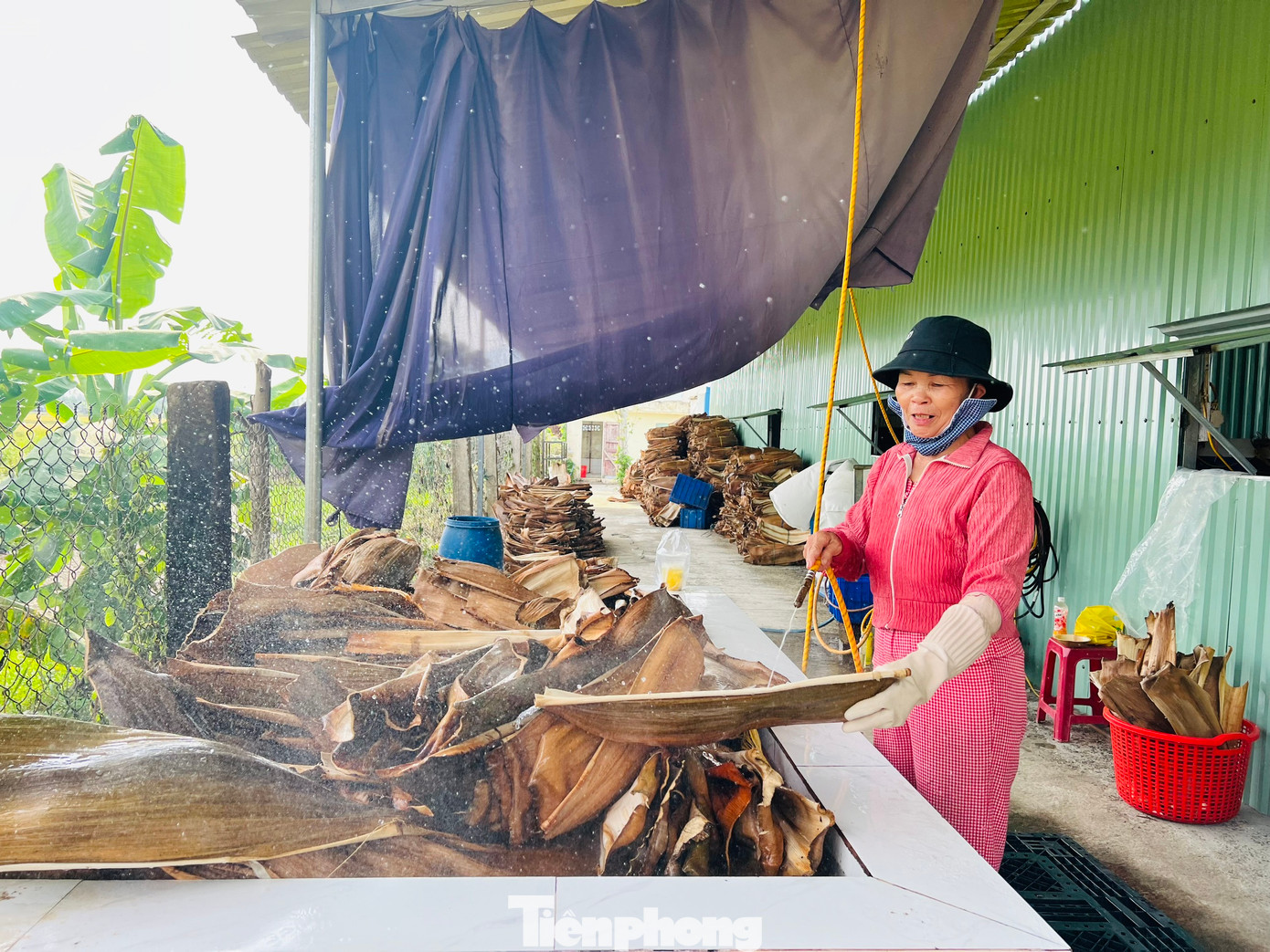 Mo cau sau khi thu mua được mang về xưởng chà rửa sạch sẽ, ngâm nước cho mềm, để ráo...