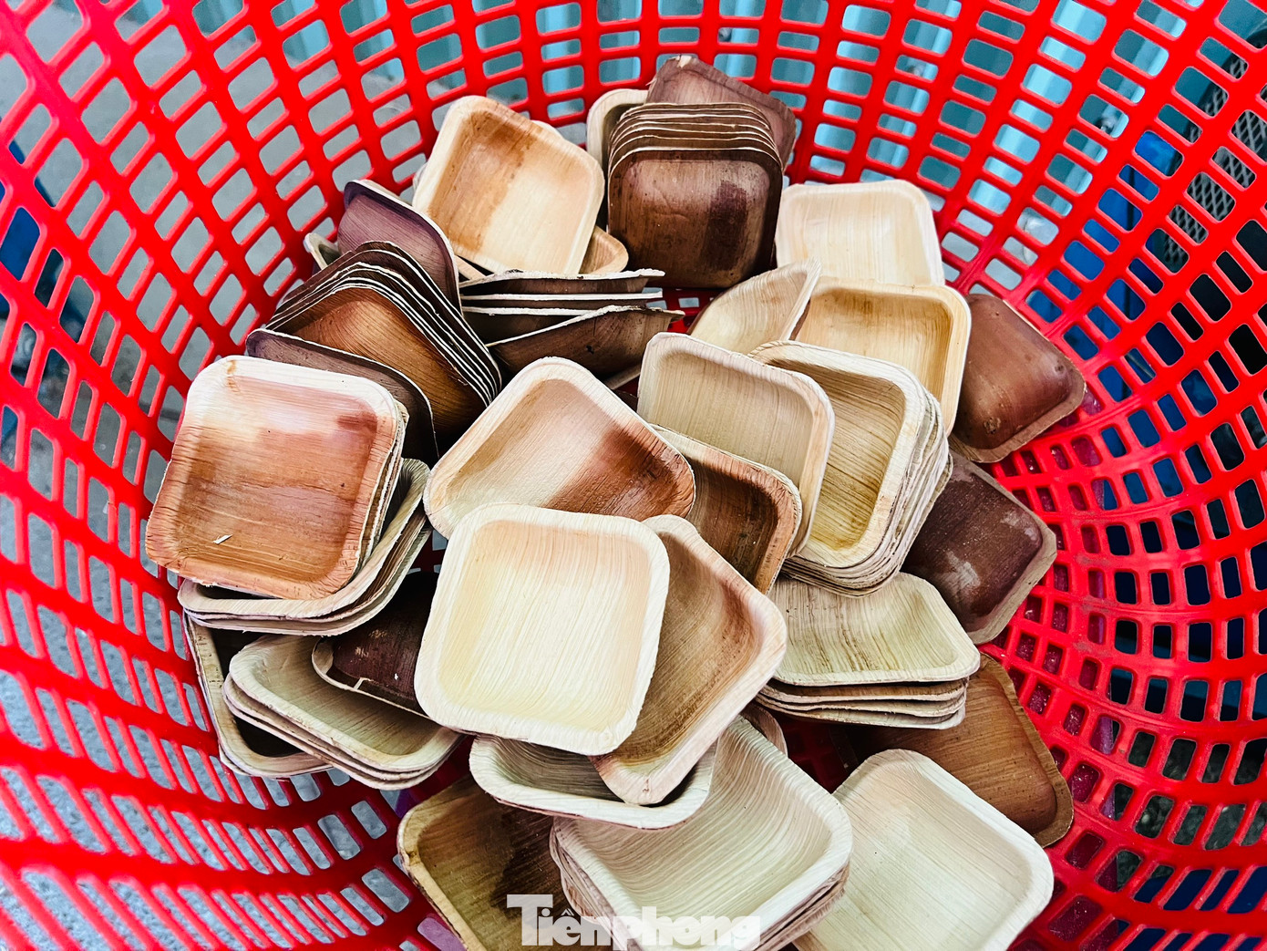 Bát, chén, dĩa… từ mo cau được gia công kỹ lưỡng trước khi đóng thùng.