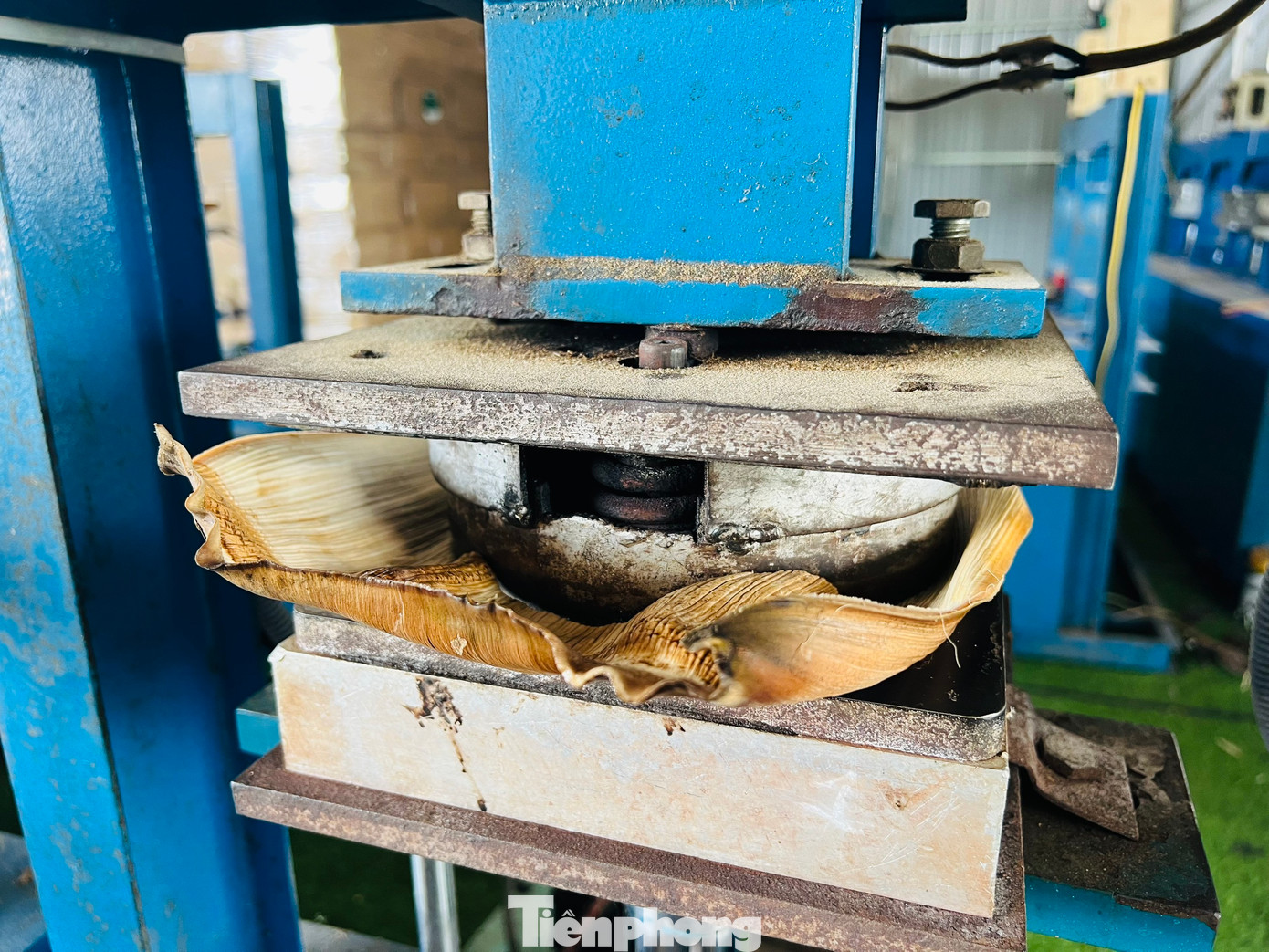 Sau đó được đưa vào khuôn ép nhiệt tạo hình và được diệt khuẩn bằng máy chiếu tia UV rồi đóng gói.