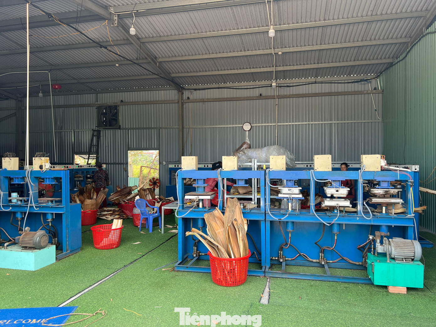 Cuối năm 2019, khi tìm hiểu qua mạng anh vô tình đọc được một tài liệu về các sản phẩm thân thiện môi trường từ mo cau ở Ấn Độ nên anh quyết định mở cơ sở thu mua mo cau để làm chén, dĩa, khay ăn… tại huyện Nghĩa Hành - một trong những vùng trồng cau lớn nhất Quảng Ngãi.