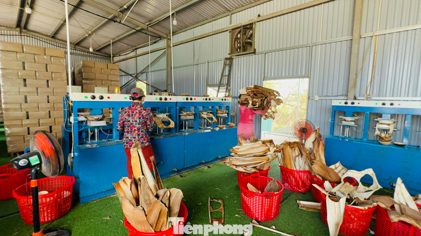 Sau đó được đưa vào khuôn ép nhiệt tạo hình và được diệt khuẩn bằng máy chiếu tia UV rồi đóng gói.