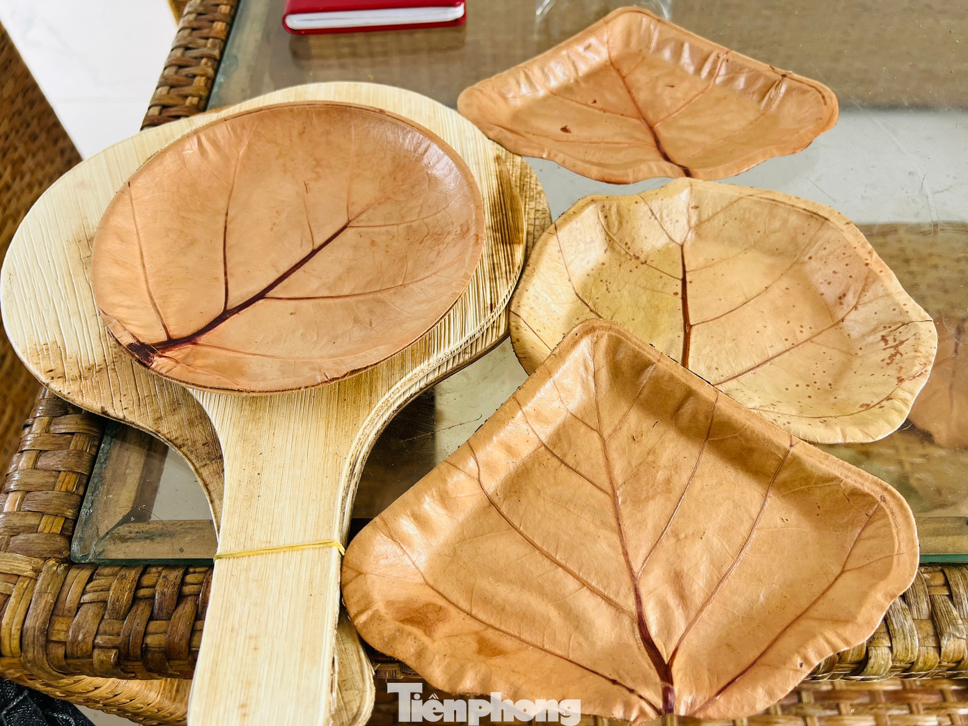 Ngoài mo cau, anh Tuyến còn phát triển dòng sản phẩm chén, dĩa làm từ lá tra một loại cây ven biển. Sản phẩm này chủ yếu tiêu thụ ở Mỹ.