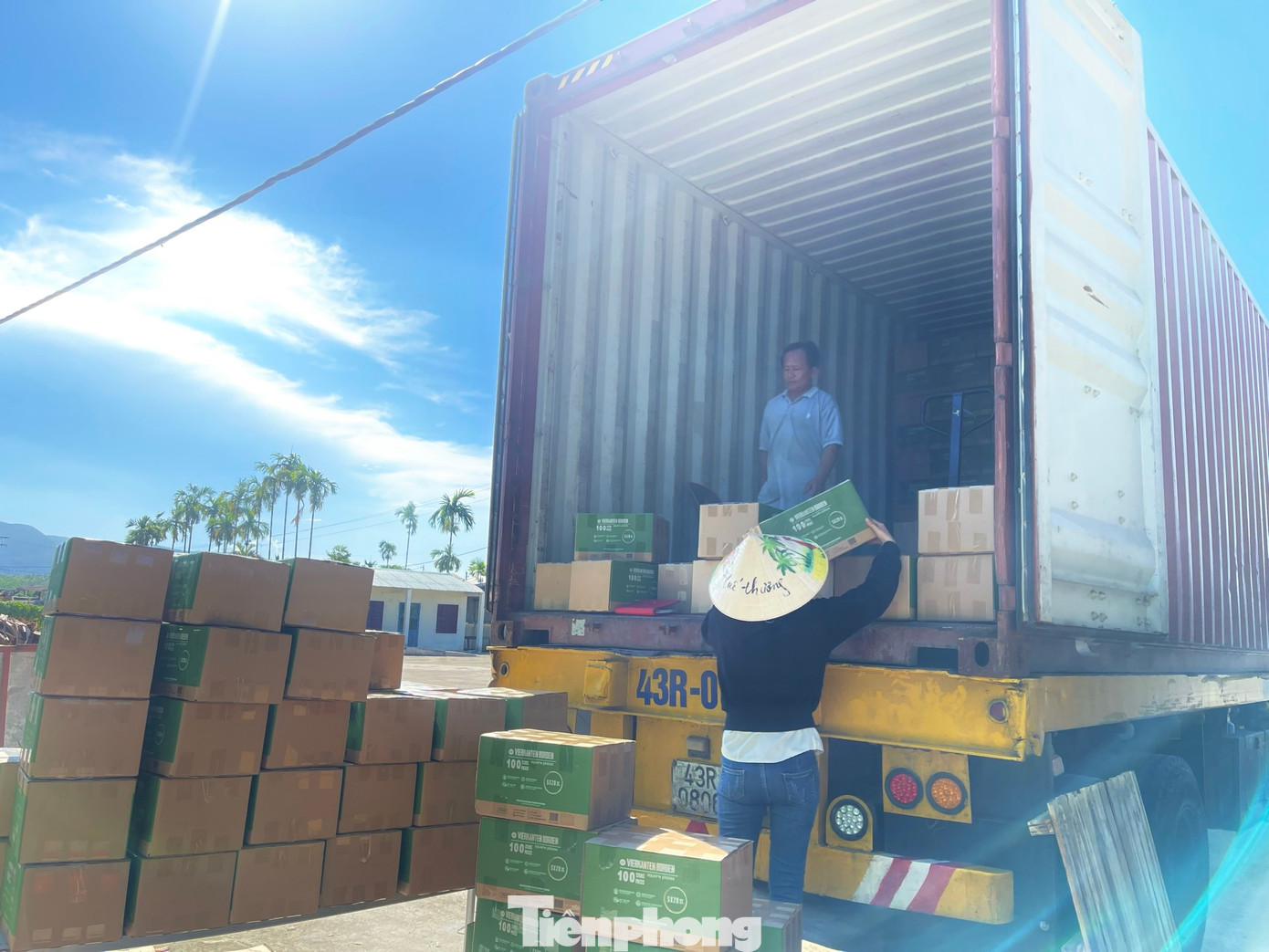 Trải qua gần 5 năm khởi nghiệp đến nay các sản phẩm được chế biến từ mo cau như chén, dĩa, quạt… của anh đã được đưa đi xuất khẩu khắp nơi, sang các nước như Hàn Quốc, Canada, Ba Lan, Mỹ...