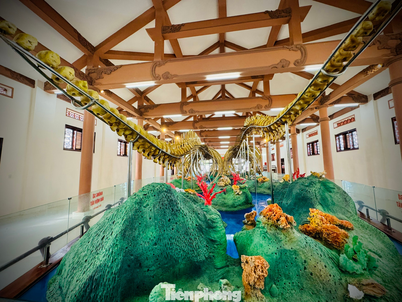 “Huyện Lý Sơn hiện đang hoàn tất hồ sơ, thủ tục trình Tổ chức Kỷ lục Việt Nam công nhận đây là hai bộ xương cá voi lớn nhất Việt Nam”, bà Hương nói.