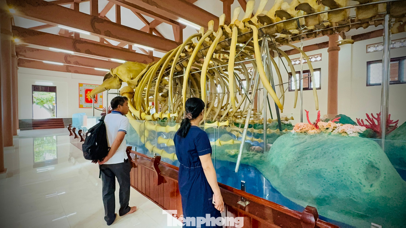 "Lần đầu tiên tôi thấy bộ xương cá voi to lớn như thế này. Những bộ xương cá khổng lồ còn nguyên vẹn là điều rất đặc biệt. Trước đây, tôi có xem qua mạng xã hội, nhưng khi được tận mắt chiêm ngưỡng, thật sự nó còn lớn hơn tưởng tượng của tôi", chị Đinh Thị Sinh - du khách đến từ TP.HCM chia sẻ