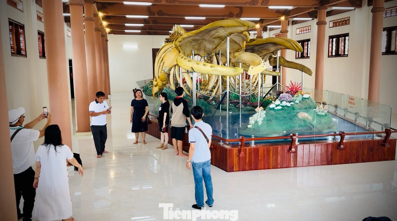 Hai bộ xương cá voi được xác lập kỷ lục lớn nhất Việt Nam được trưng bày tại Di tích Lăng Tân (huyện đảo Lý Sơn).