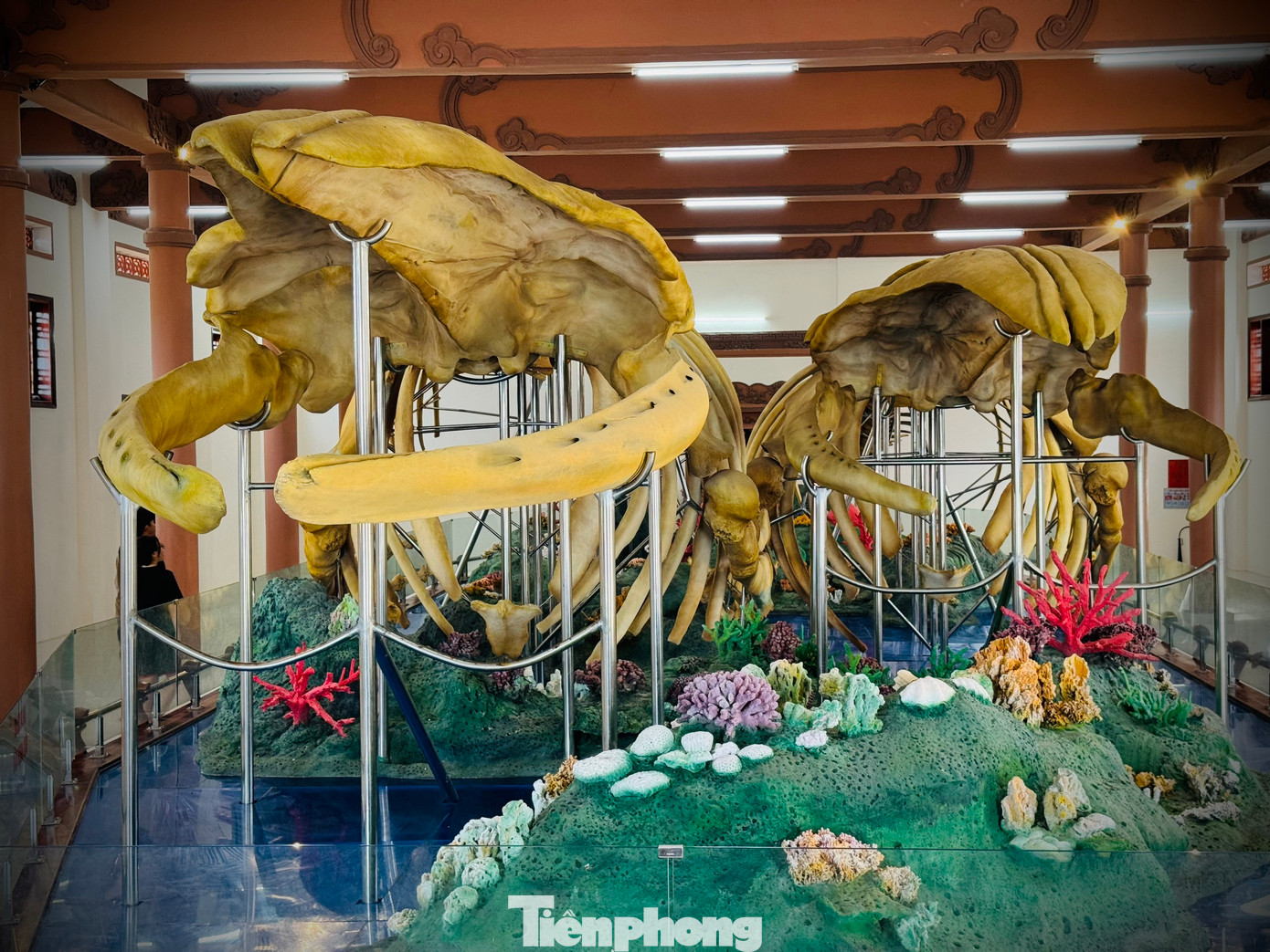 Được biết, cá Ông được cư dân miền biển ở Việt Nam nói chung và ngư dân huyện Lý Sơn nói riêng ví như vị thần Nam Hải, bảo hộ, cứu ngư dân gặp nạn giữa biển khơi. Bởi vậy khi phát hiện ông “lụy”, các vạn chài miền biển đều tổ chức nghi lễ chôn cất, thờ cúng long trọng để tỏ lòng thành kính.