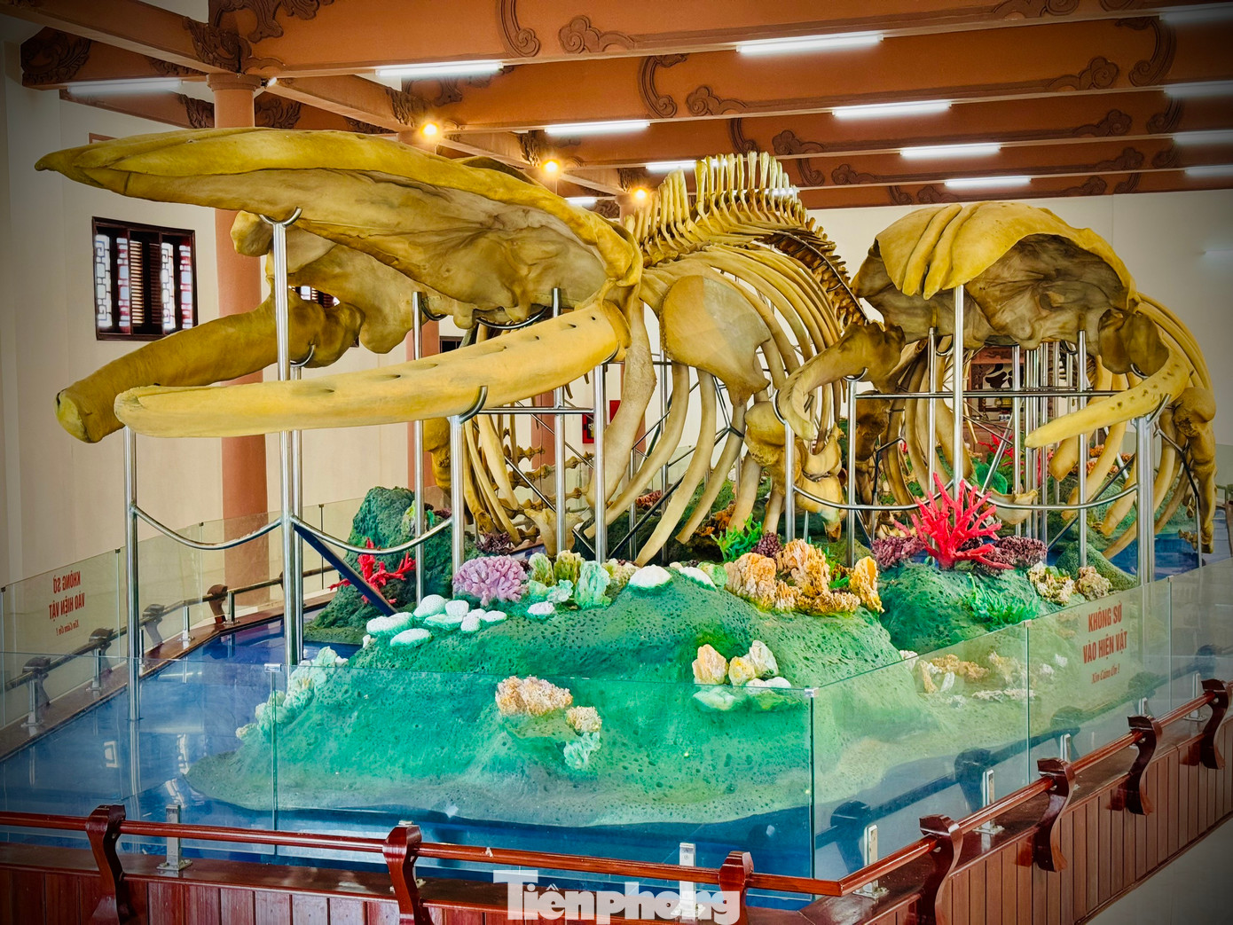 Bộ xương lớn dài trên 22m, được người dân gọi là Đồng Đình Đại vương. Bộ xương nhỏ dài 18m được gọi là Đức Ngư Tôn thần.