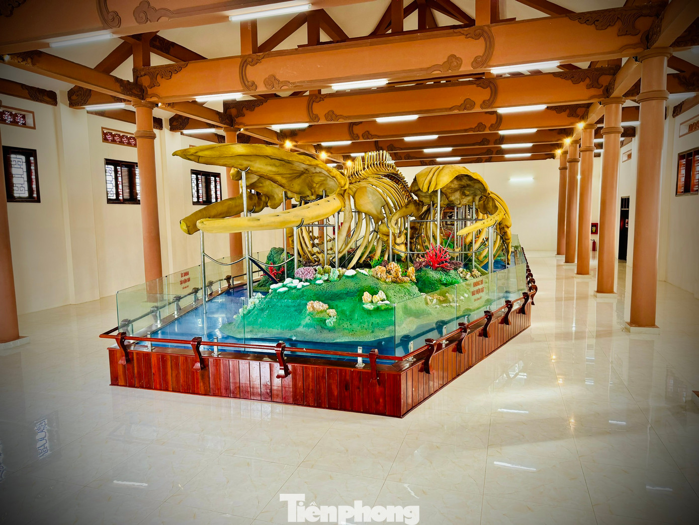 Hai bộ xương cá voi được xác lập kỷ lục lớn nhất Việt Nam được trưng bày tại Di tích Lăng Tân (huyện đảo Lý Sơn).