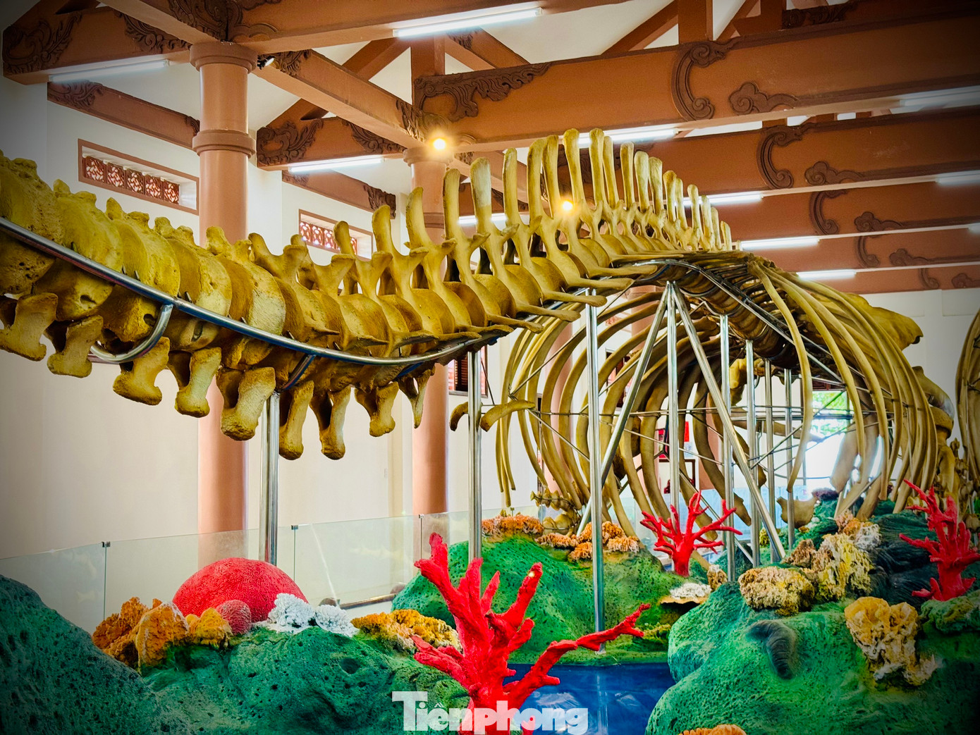 Thống kê của huyện Lý Sơn, năm 2023 đã có 150.000 du khách đến Lăng Tân để tận mắt chiêm ngắm hai bộ “ngọc cốt”. Tại đây, du khách còn được nghe những câu chuyện kỳ bí liên quan đến 2 bộ xương này, cũng như tìm hiểu về tín ngưỡng thờ cá Ông của cư dân trên đảo.