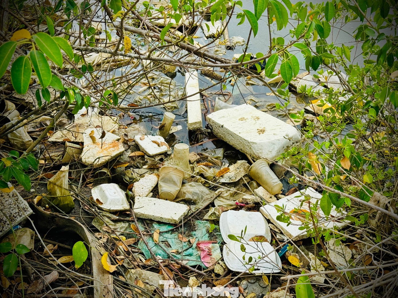 Theo ghi nhận của PV, hai bên bờ và trên sông Châu Me Đông ngập tràn các loại rác thải nhựa khó phân hủy như: túi nilon, thùng xốp, bóng đèn thủy tinh, thùng sơn, cam chứa dầu nhớt...