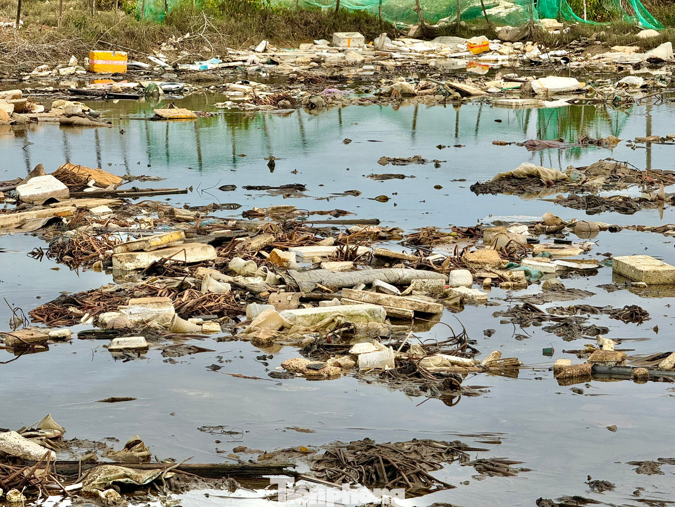 Rác thải dồn ứ, tạo thành mảng lớn trôi nổi bồng bềnh trên sông, gây ô nhiễm nghiêm trọng.