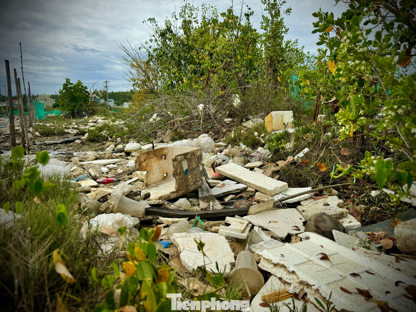 Đặc biệt là mỗi khi thủy triều dâng lên, rác theo con nước tràn vào sông, sau đó không thoát ra được nên đọng lại, chất chồng lên nhau như bãi chôn lấp lộ thiên.