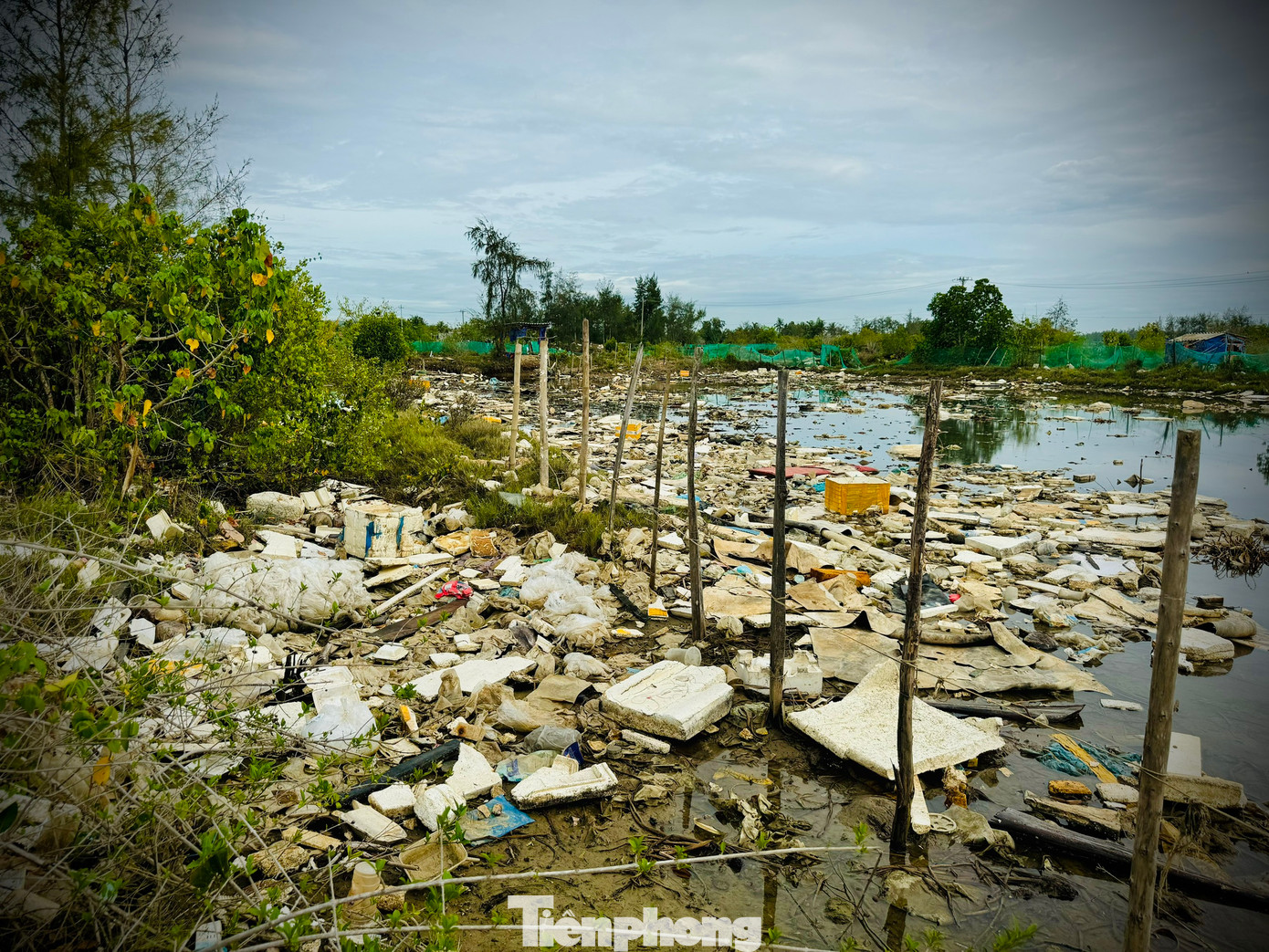 Ông Trần Hùng Mạnh (trú xã Bình Châu) cho biết, mỗi khi thủy triều dâng lên, rác theo con nước tràn vào sông Châu Me Đông, sau đó không thoát ra được nên đọng lại và ngày càng nhiều lên.