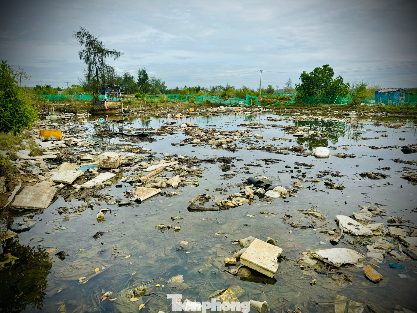 Theo người dân địa phương, rác thải ùn ứ tại khu vực này đã nhiều năm qua. Rác thải chủ yếu do các cảng cá, cơ sở đóng tàu dọc theo sông Kinh Giang và cảng cá Sa Kỳ (xã Bình Châu) xả thải ra môi trường rồi trôi dạt tấp vào sông Châu Me Đông.