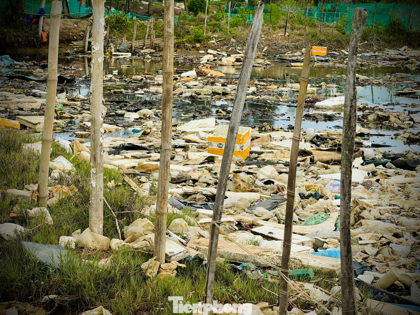 Đặc biệt, khu vực cửa sông Châu Me Đông chảy ra biển là Quốc lộ 24B (đoạn thuộc xã Bình Châu, huyện Bình Sơn) được xem là cửa ngõ cho du khách cũng như người dân đi huyện đảo Lý Sơn. Do đó, việc rác thải ùn ứ ngay tại khu vực cửa sông, bên cạnh Quốc lộ gây mất mỹ quan.