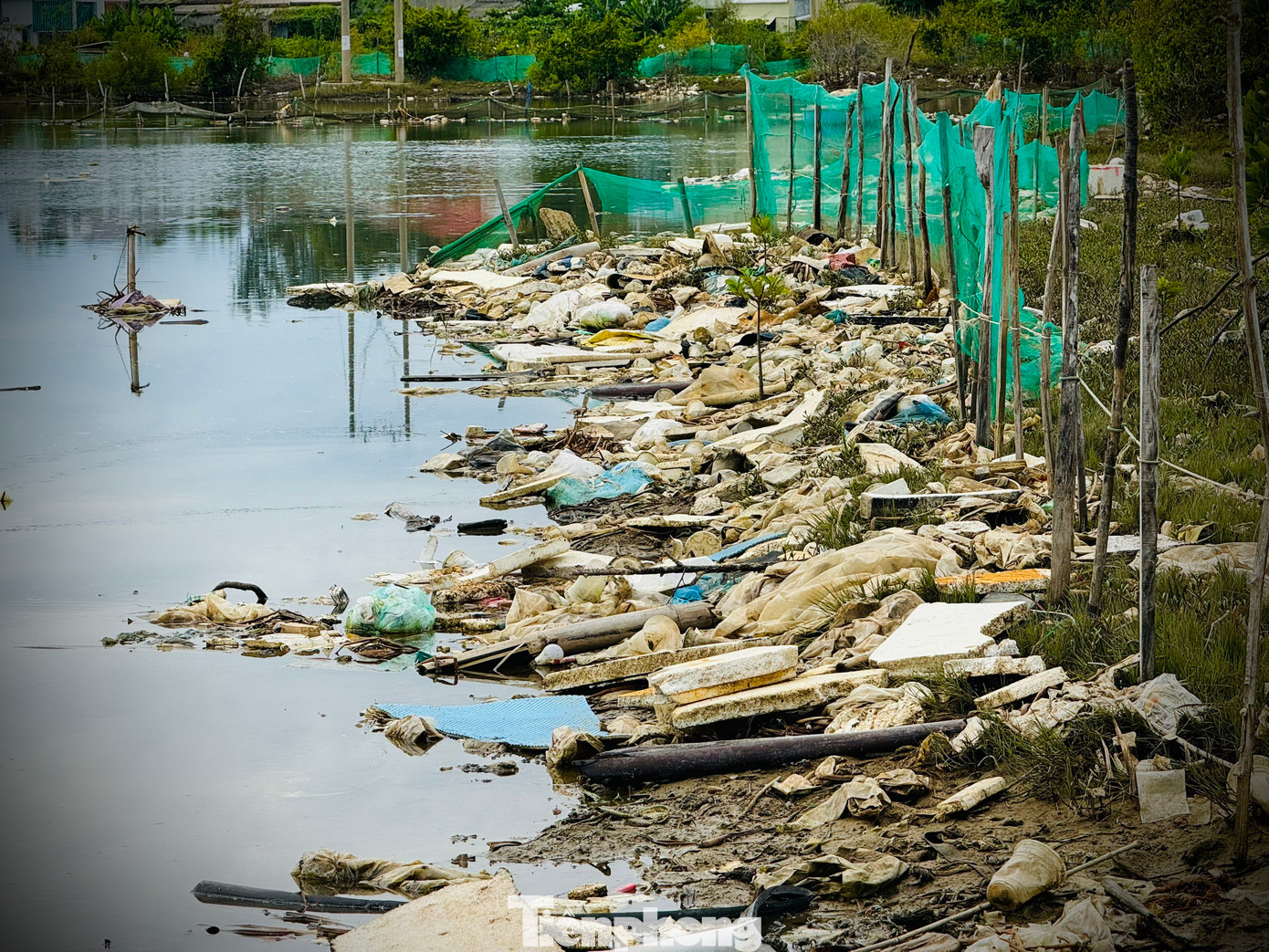 Ông Trần Hùng Mạnh (trú xã Bình Châu) cho biết, mỗi khi thủy triều dâng lên, rác theo con nước tràn vào sông Châu Me Đông, sau đó không thoát ra được nên đọng lại và ngày càng nhiều lên.