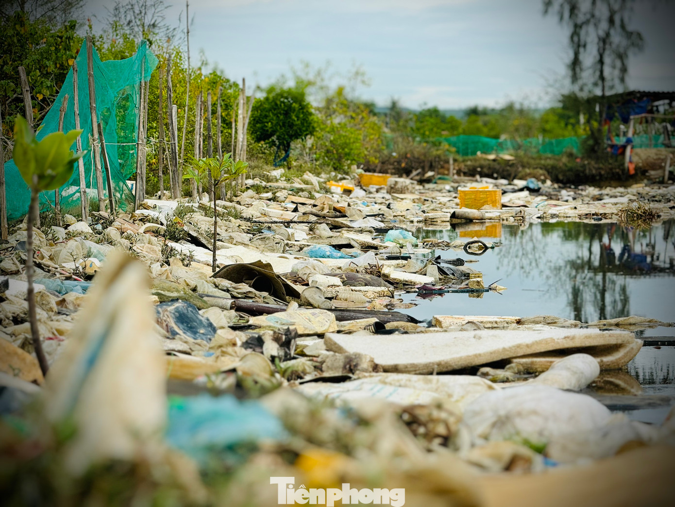 Bà Nguyễn Thị Hương (xã Bình Châu) cho hay, rác ở đây chủ yếu là các loại khó phân hủy, ngày nắng nóng, mùi hôi thối càng khủng khiếp hơn. Mọi người đi mua đồ ở chợ gần đó cũng phải bịt mũi kín mít vì bầu không khí ô nhiễm. Người dân đã nhiều lần phản ánh lên chính quyền địa phương, nhưng vẫn chưa được giải quyết dứt điểm.