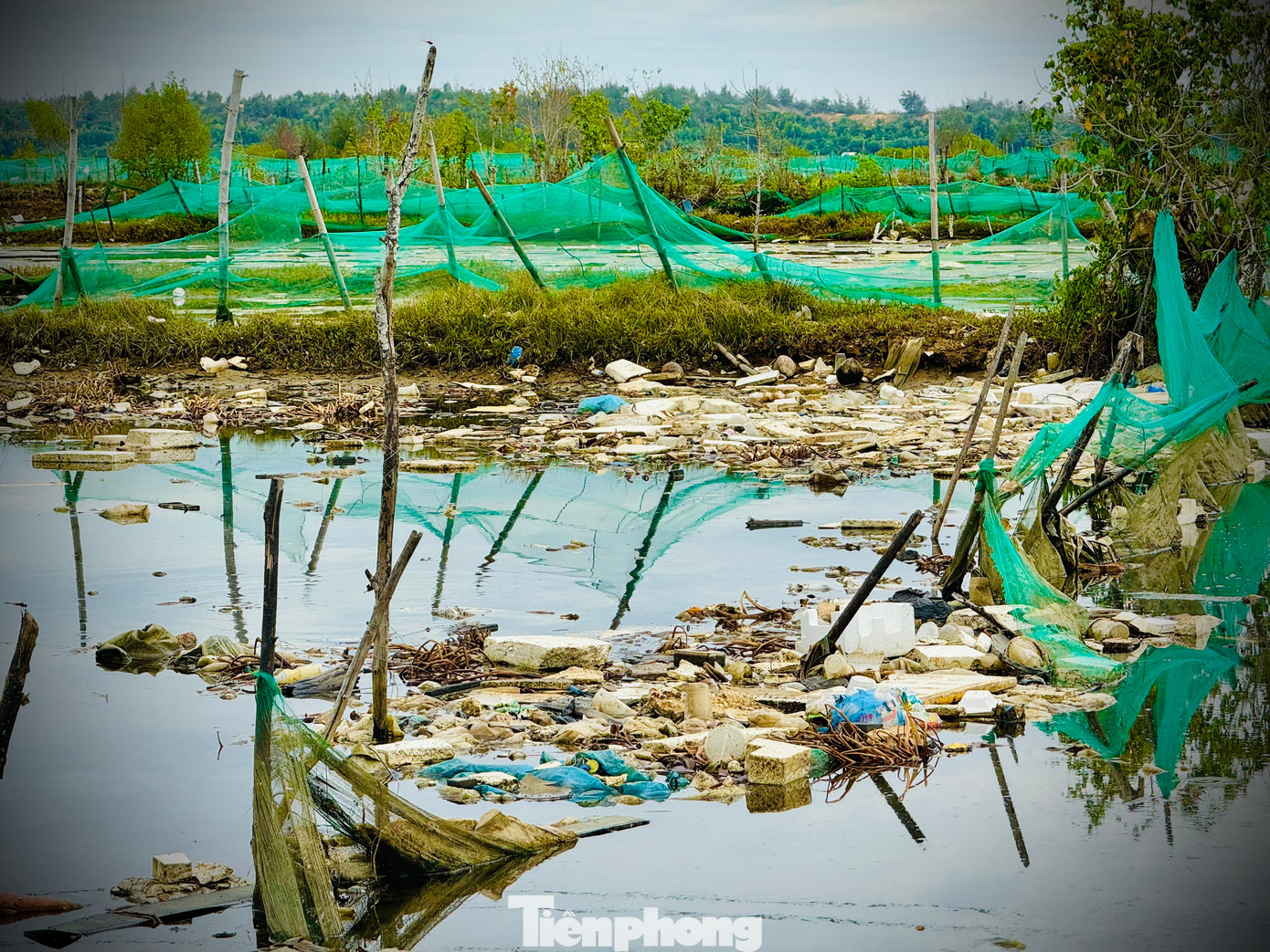 Ông Phùng Bá Vương - Chủ tịch UBND xã Bình Châu (huyện Bình Sơn) thừa nhận, việc rác thải bủa vây trên sông Châu Me Đông gây ô nhiễm nghiêm trọng, ảnh hưởng đến công tác sản xuất nông nghiệp, nuôi trồng thủy sản của người dân đã diễn ra từ nhiều năm nay. Nhưng để giải quyết dứt điểm tình trạng ô nhiễm này là cực kỳ khó.