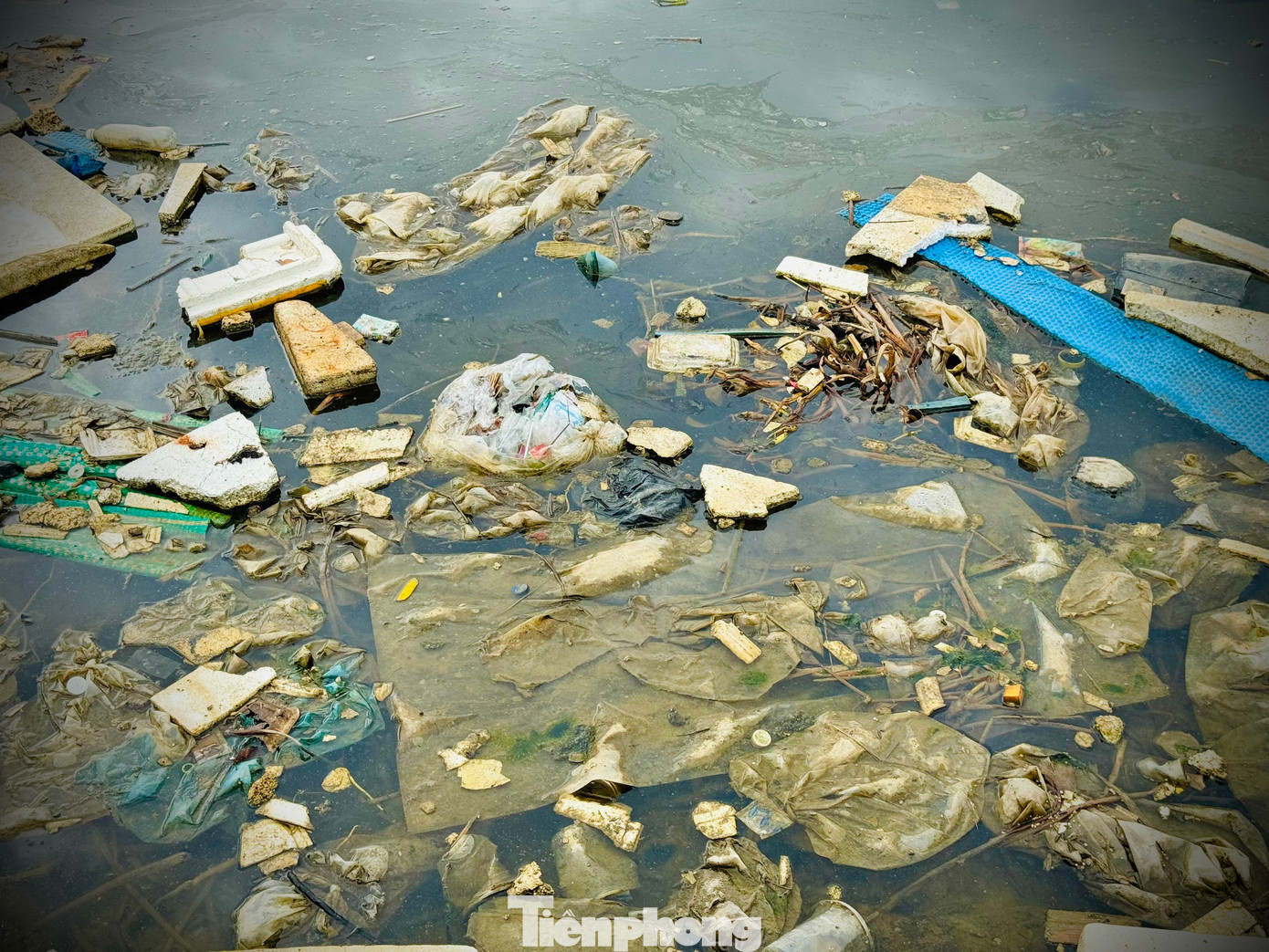 Rác thải phủ kín cả mặt nước.