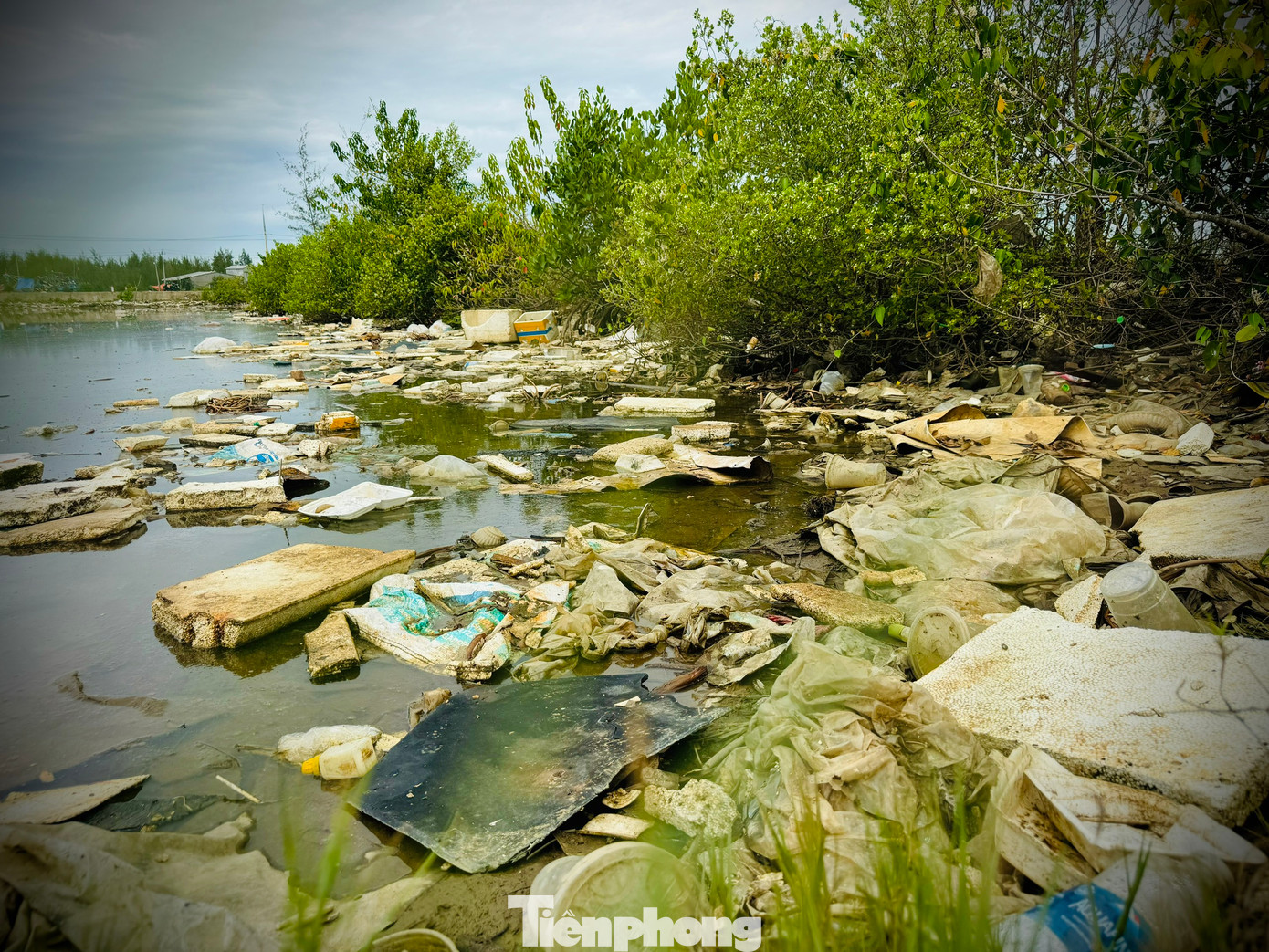“UBND xã đã nhiều lần huy động các hội, đoàn thể, đoàn viên thanh niên và người dân thu gom, xử lý rác tại khu vực này. Tuy nhiên, chỉ ít ngày sau rác lại tiếp tục trôi dạt vào như cũ. Lượng rác mỗi ngày đổ về đây quá lớn nên chính quyền xã cũng khó giải quyết triệt để”, ông Vương nói thêm.