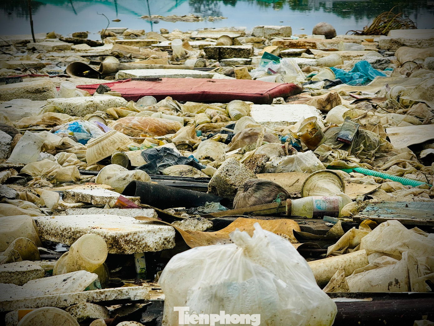 Theo ghi nhận của PV, hai bên bờ và trên sông Châu Me Đông ngập tràn các loại rác thải nhựa khó phân hủy như: túi nilon, thùng xốp, bóng đèn thủy tinh, thùng sơn, cam chứa dầu nhớt...