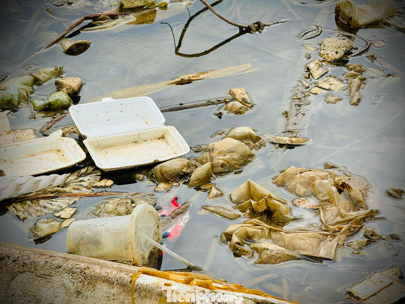 Rác thải phủ kín cả mặt nước.