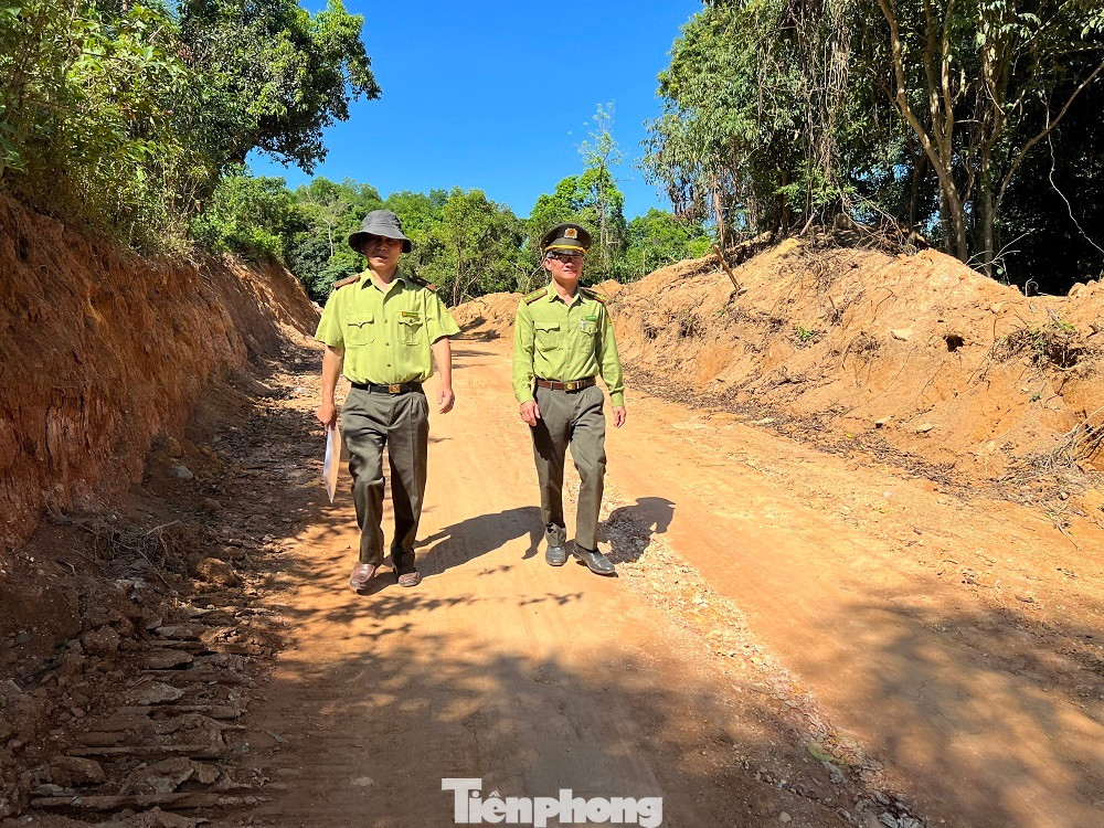 Lực lượng kiểm lâm kiểm tra hiện trường.