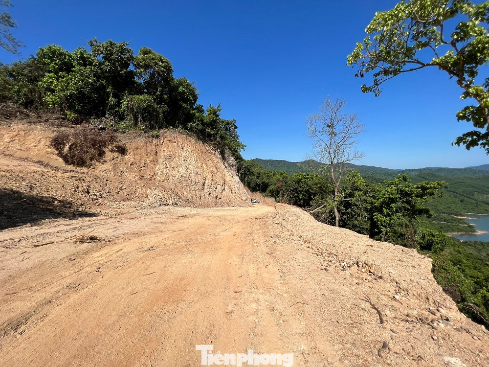 Chủ tịch UBND tỉnh Quảng Ngãi yêu cầu báo cáo vụ phá rừng tự nhiên mở đường.