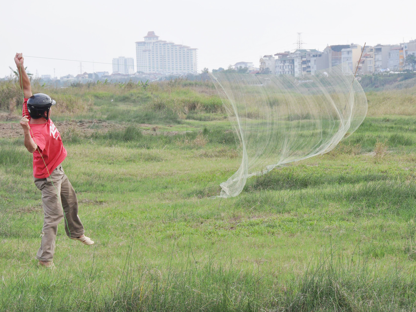 Giăng lưới bắt chim