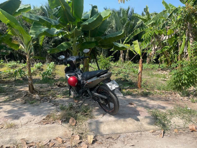 Nam sinh để lại xe máy trong vườn chuối. Nam sinh để lại xe máy trong vườn chuối.